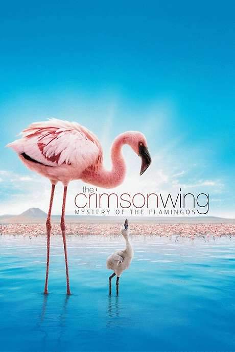 The Crimson Wing: Mystery of the Flamingos